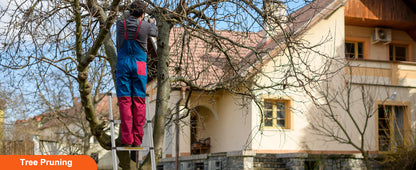 SteelLift™ Telescopic Heavy-Duty Ladder